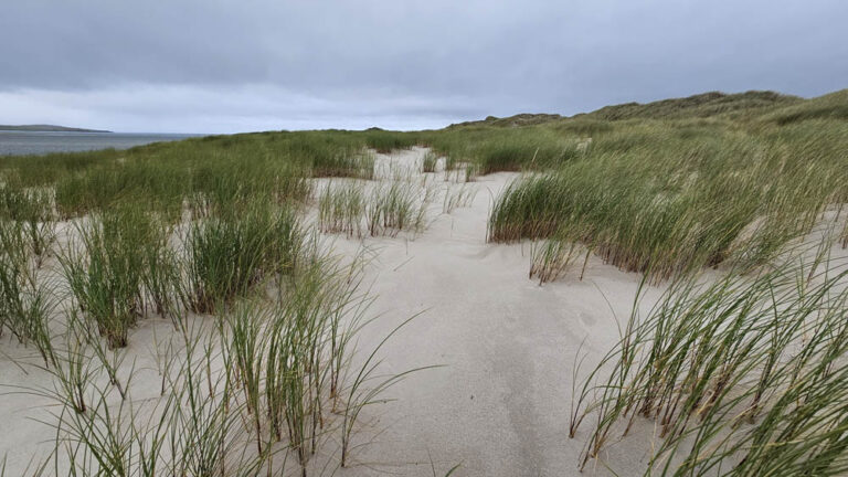 Sheskinmore Nature Reserve