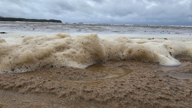 five fingers strand