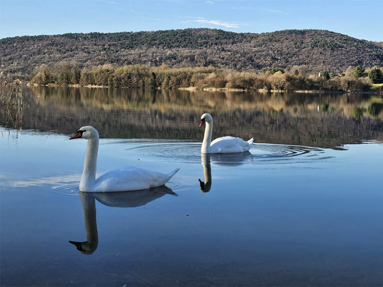 lago di comabbio