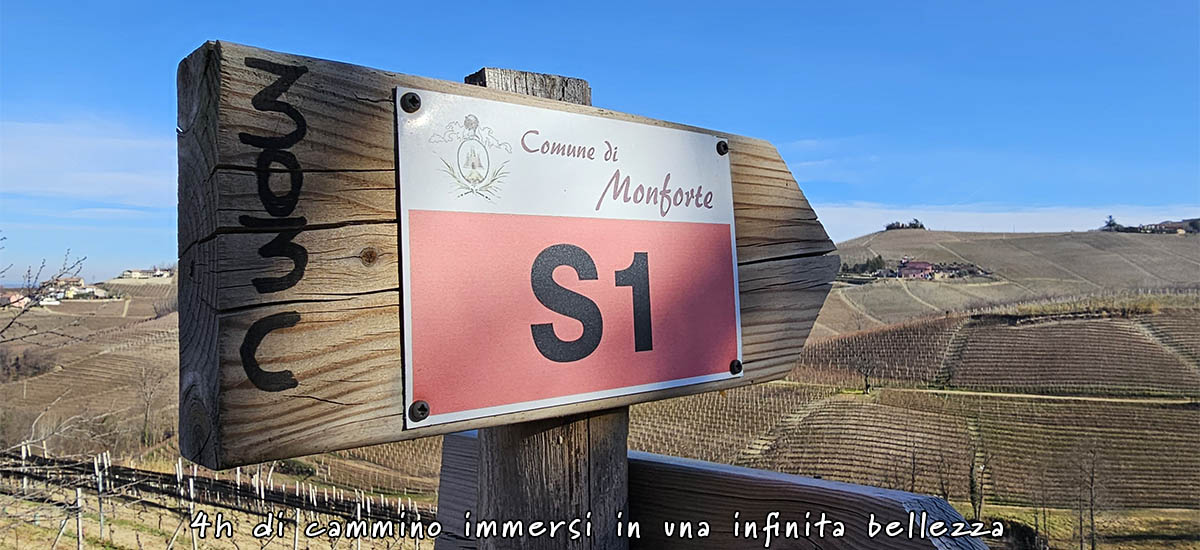 sentiero S1 - Monforte d'Alba