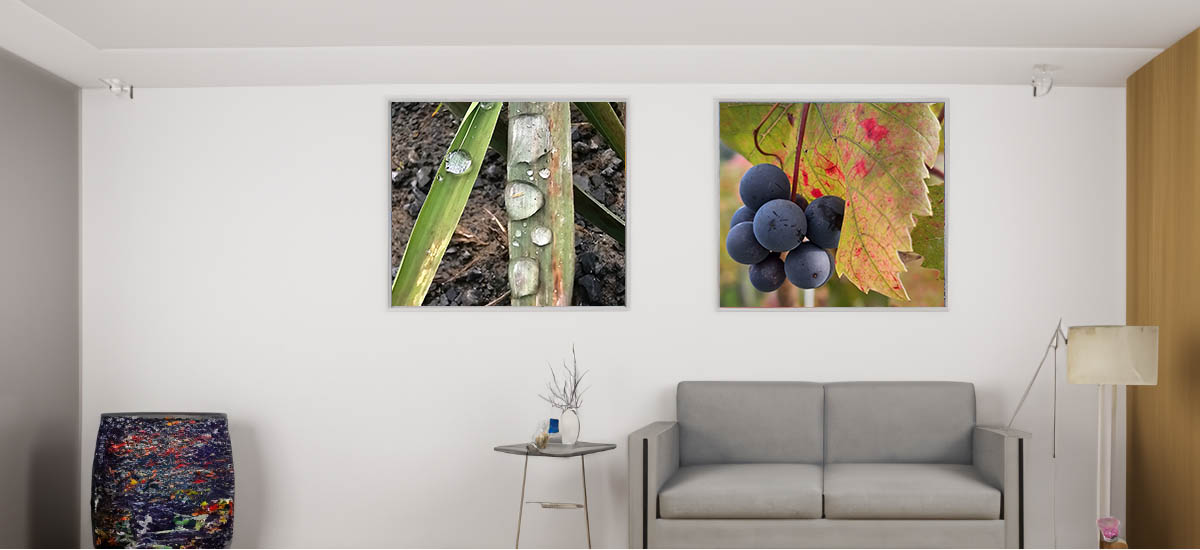 sala quadro natura