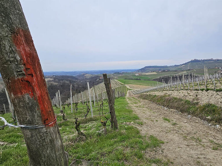 sentiero S3 a Monforte d'Alba