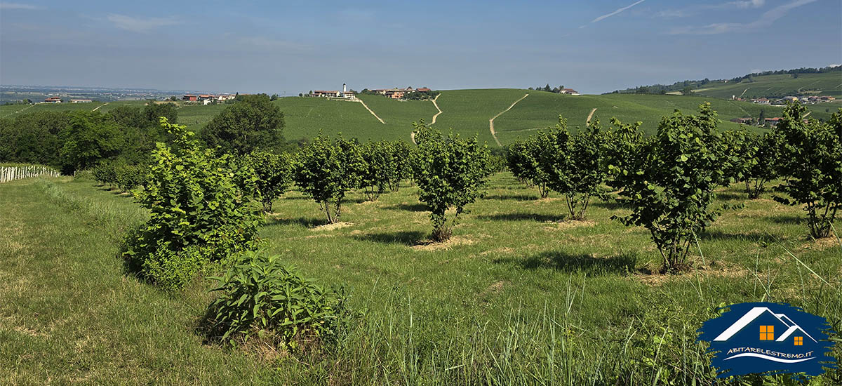 sentiero novello - barolo