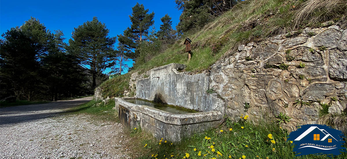 Passo Nota