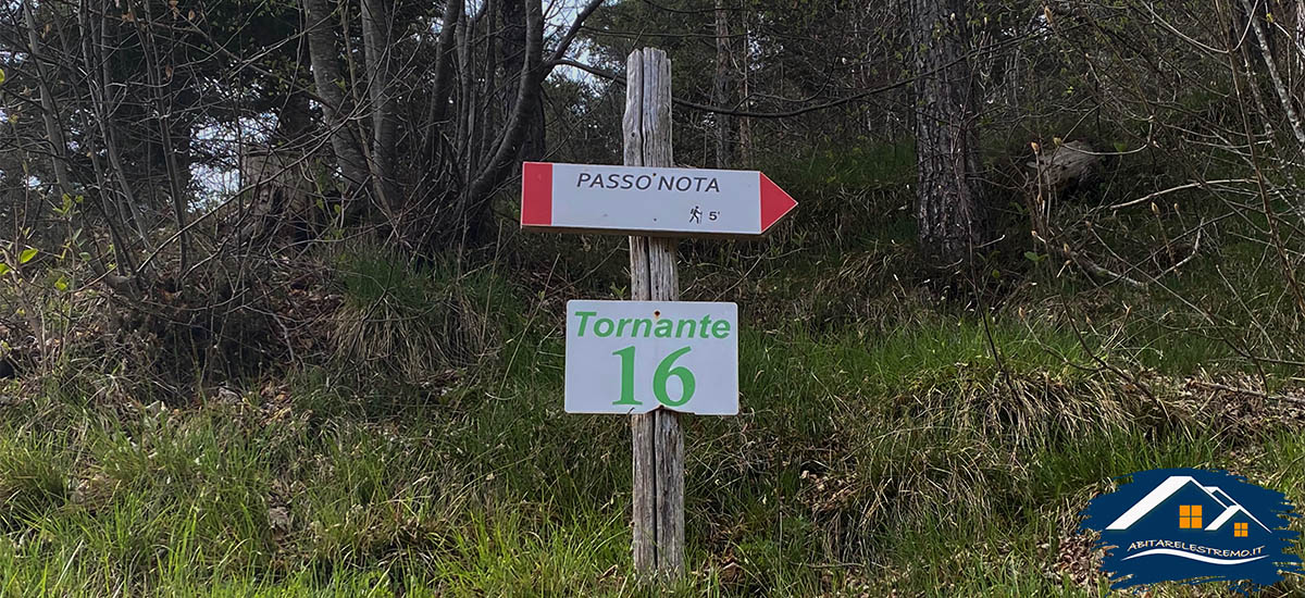 Passo Nota