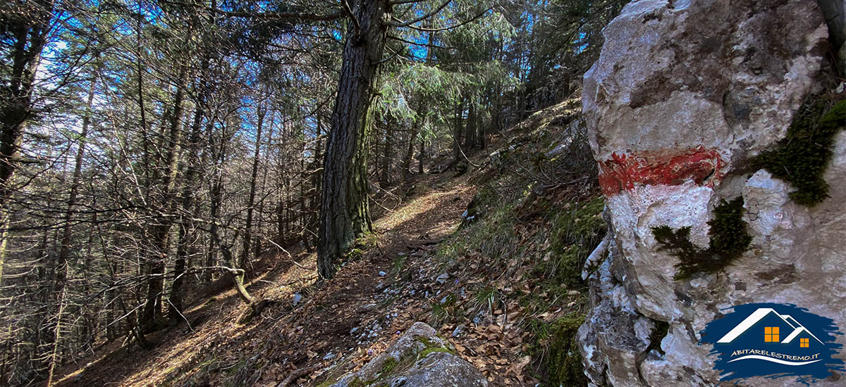 sentiero 131 monte carone