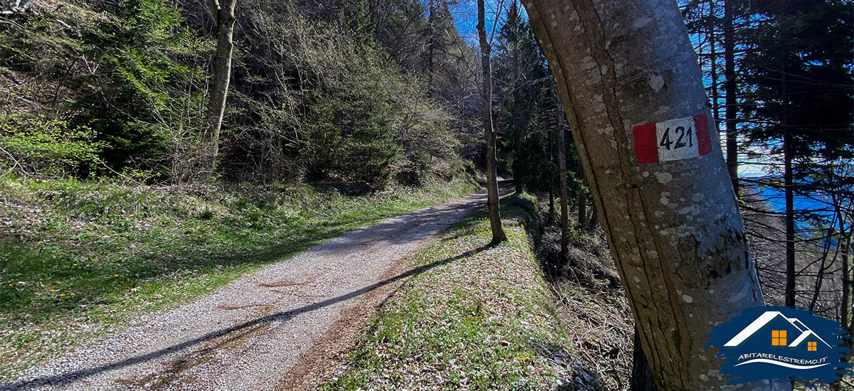 sentiero 421 monte carone