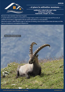 newsletter abitarelestremo agosto 2026