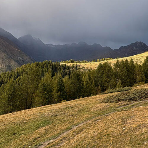 les ors da challancin - valdigne