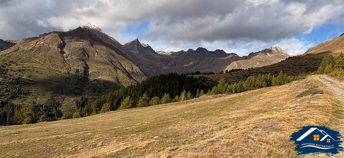Les Ors - Valdigne