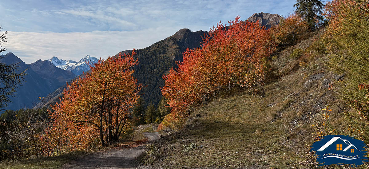 colori autunnalli a Les Ors in valdigne