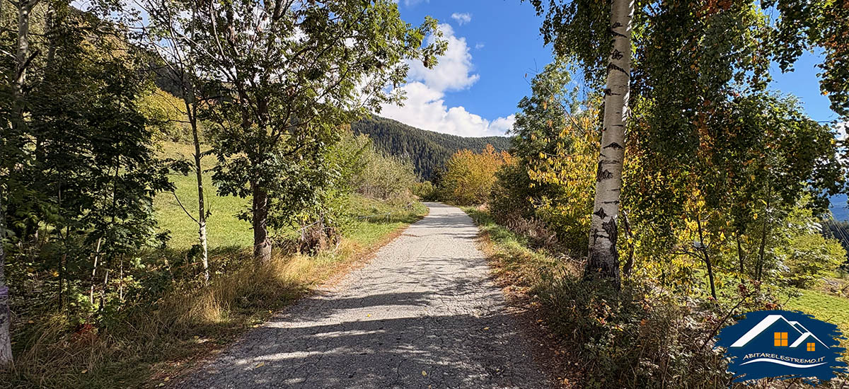 sentiero challancin - les ors - valdigne