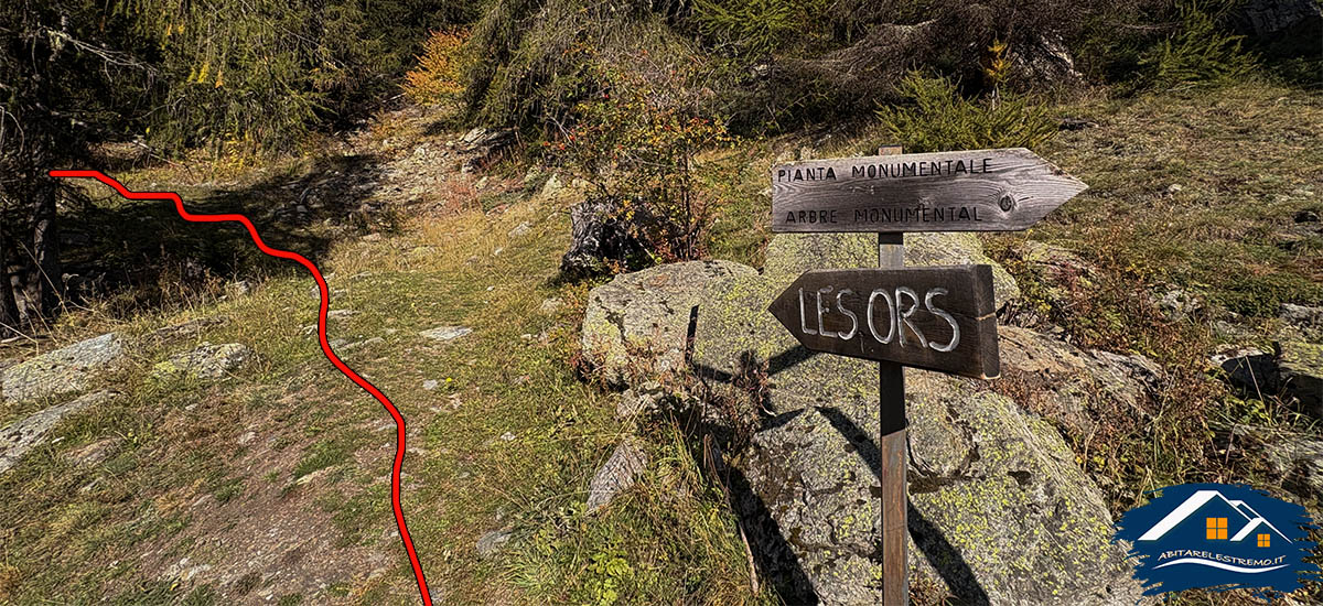 sentiero challancin - les ors - valdigne