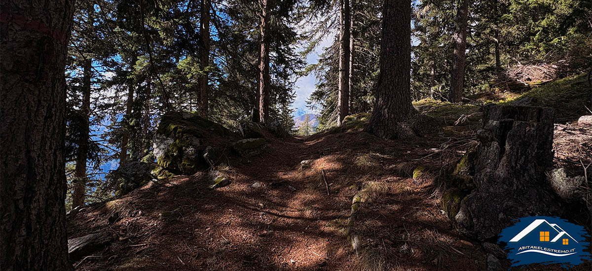 sentiero challancin - les ors - valdigne