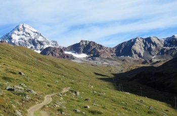 Pizzini col Gran Zebrù