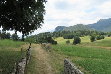 valle dei ciliegi