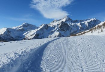 Grand Tournalin