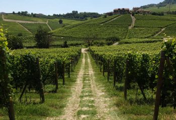 la morra sentiero numero 7 langhe roero