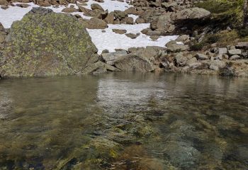 piani della rossa alpe devero