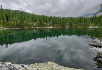 lago nero alpe devero