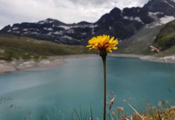 lago davino