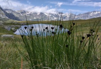 laghi piana d'avino - passo del croso - alpe veglia