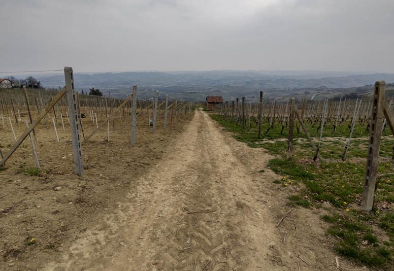 sentiero numero 2 madonna di loreto langhe la morra